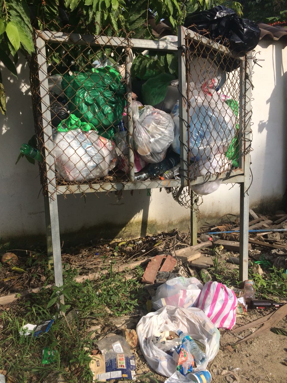  Qu Est Pasando Con La Basura What Is Going On With The Trash 