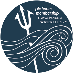 Platinum Membership