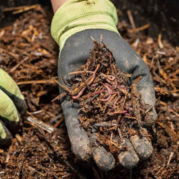 Composting photo