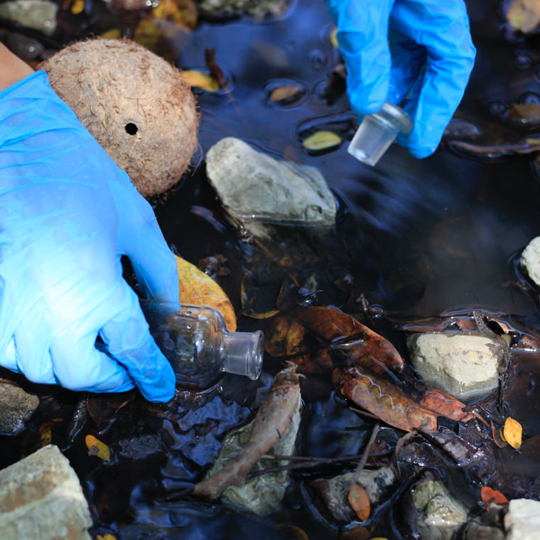 Water Quality Monitoring photo